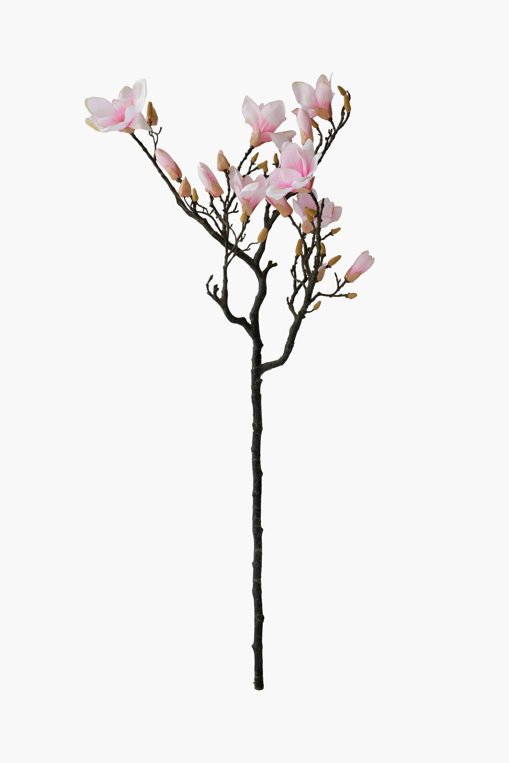 Large Branch Yulan Magnolia - Pink (Thick Stem)